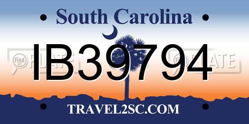 IB39794 South Carolina License Plate