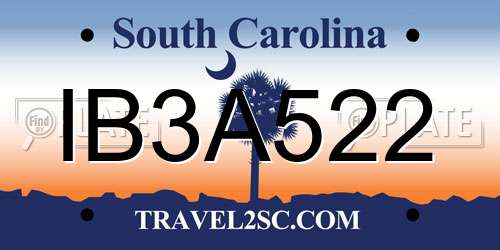 IB3A522 South Carolina License Plate