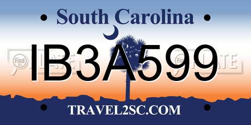 IB3A599 South Carolina License Plate