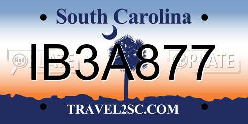 IB3A877 South Carolina License Plate