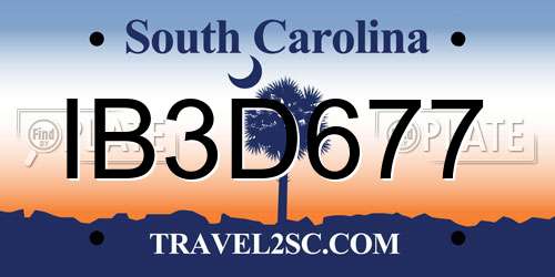 IB3D677 South Carolina License Plate