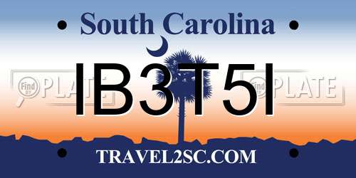 IB3T5I South Carolina License Plate