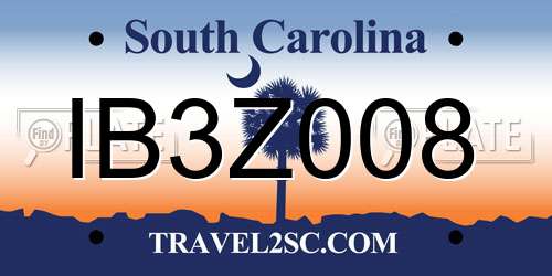 IB3Z008 South Carolina License Plate