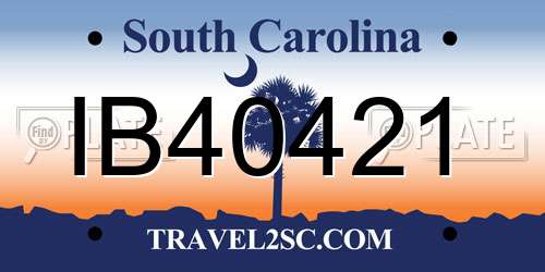 IB40421 South Carolina License Plate