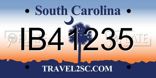IB41235 South Carolina License Plate