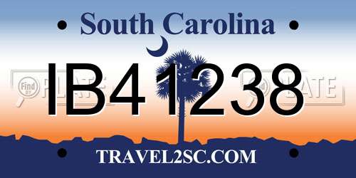 IB41238 South Carolina License Plate