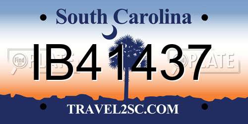 IB41437 South Carolina License Plate