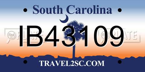 IB43109 South Carolina License Plate
