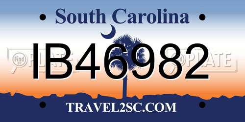 IB46982 South Carolina License Plate