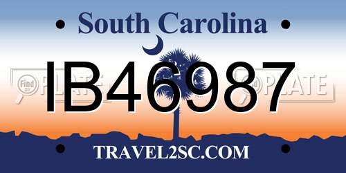IB46987 South Carolina License Plate