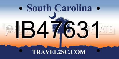 IB47631 South Carolina License Plate