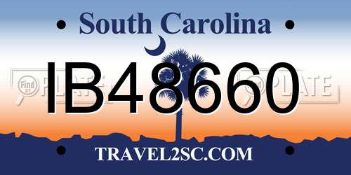 IB48660 South Carolina License Plate