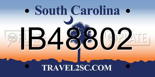 IB48802 South Carolina License Plate