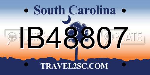 IB48807 South Carolina License Plate