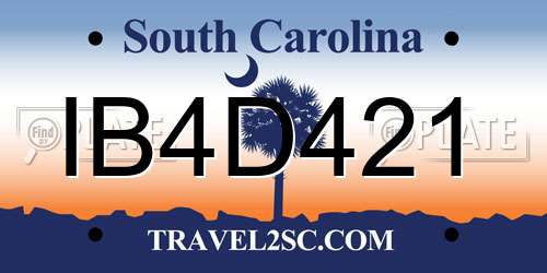 IB4D421 South Carolina License Plate