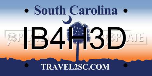 IB4H3D South Carolina License Plate