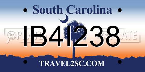 IB4I238 South Carolina License Plate