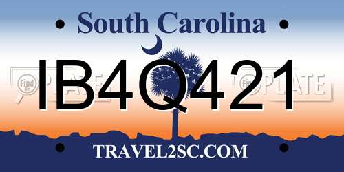 IB4Q421 South Carolina License Plate