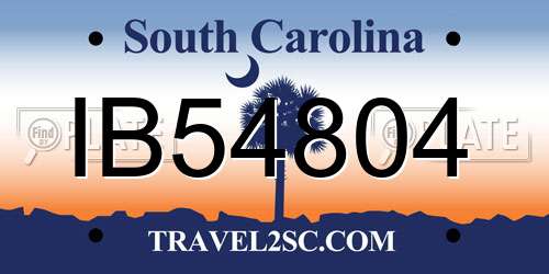 IB54804 South Carolina License Plate