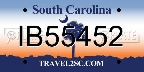 IB55452 South Carolina License Plate