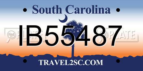 IB55487 South Carolina License Plate