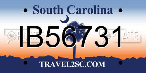 IB56731 South Carolina License Plate