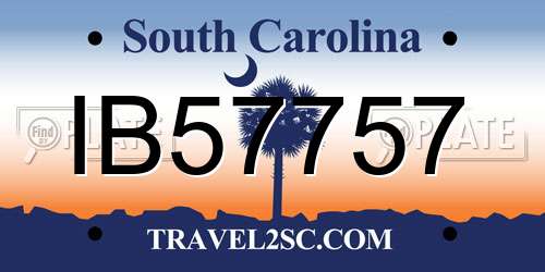 IB57757 South Carolina License Plate