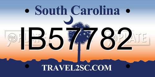 IB57782 South Carolina License Plate