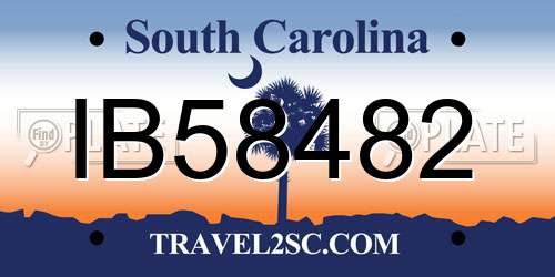 IB58482 South Carolina License Plate