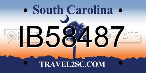 IB58487 South Carolina License Plate