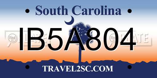 IB5A804 South Carolina License Plate
