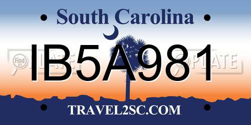 IB5A981 South Carolina License Plate