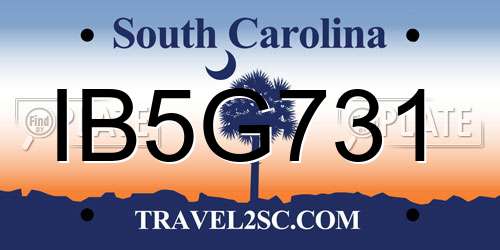 IB5G731 South Carolina License Plate