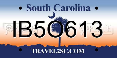 IB5O613 South Carolina License Plate