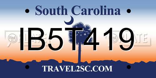 IB5T419 South Carolina License Plate