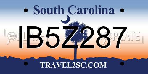 IB5Z287 South Carolina License Plate