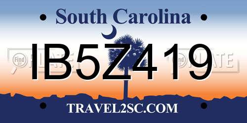 IB5Z419 South Carolina License Plate