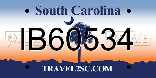 IB60534 South Carolina License Plate