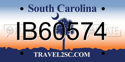 IB60574 South Carolina License Plate