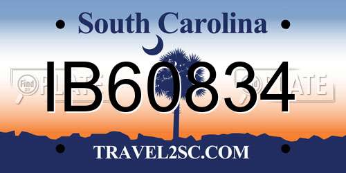 IB60834 South Carolina License Plate