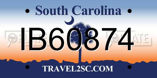 IB60874 South Carolina License Plate