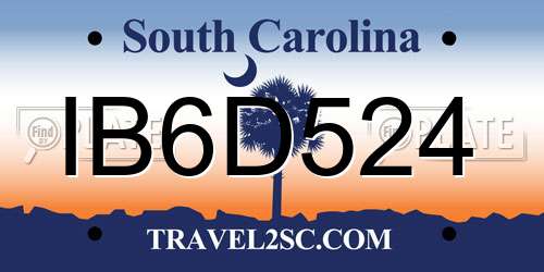 IB6D524 South Carolina License Plate