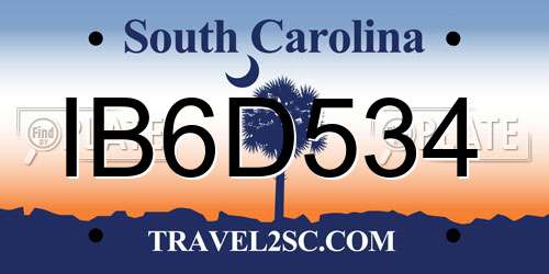 IB6D534 South Carolina License Plate