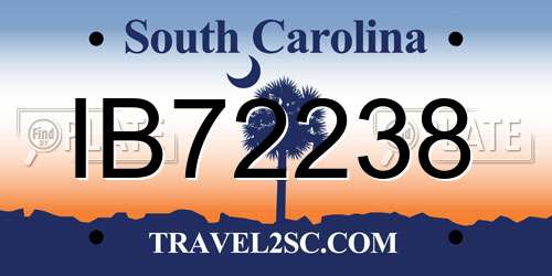 IB72238 South Carolina License Plate