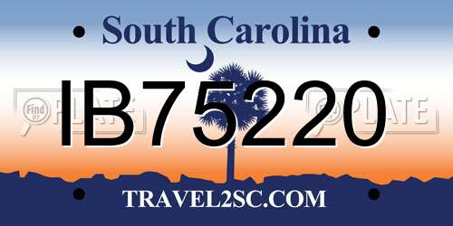 IB75220 South Carolina License Plate