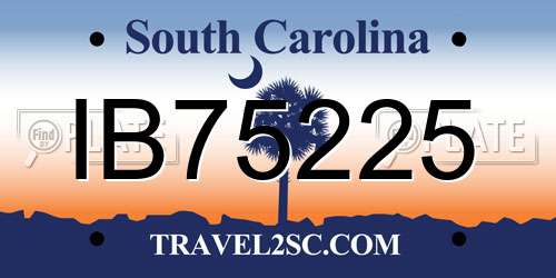 IB75225 South Carolina License Plate