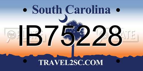 IB75228 South Carolina License Plate