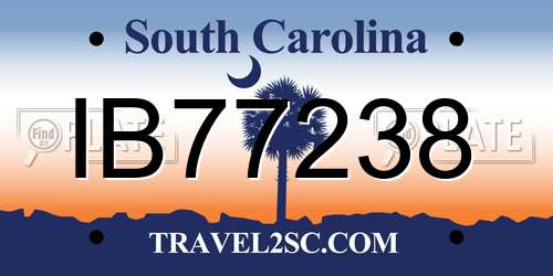 IB77238 South Carolina License Plate