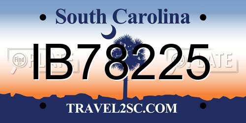 IB78225 South Carolina License Plate
