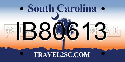 IB80613 South Carolina License Plate